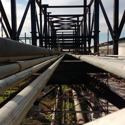 WhatsApp Image 2025-09-16 at 13.07.44